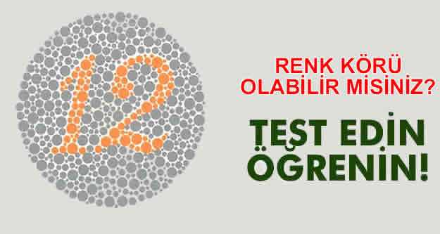 Renk K Rl Testi Nedir