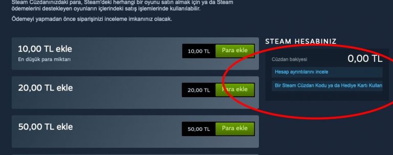 Bedava Steam Cüzdan Kodu BekçiAlımı