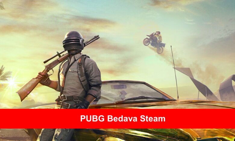 Не удалось выполнить инициализацию steam pubg